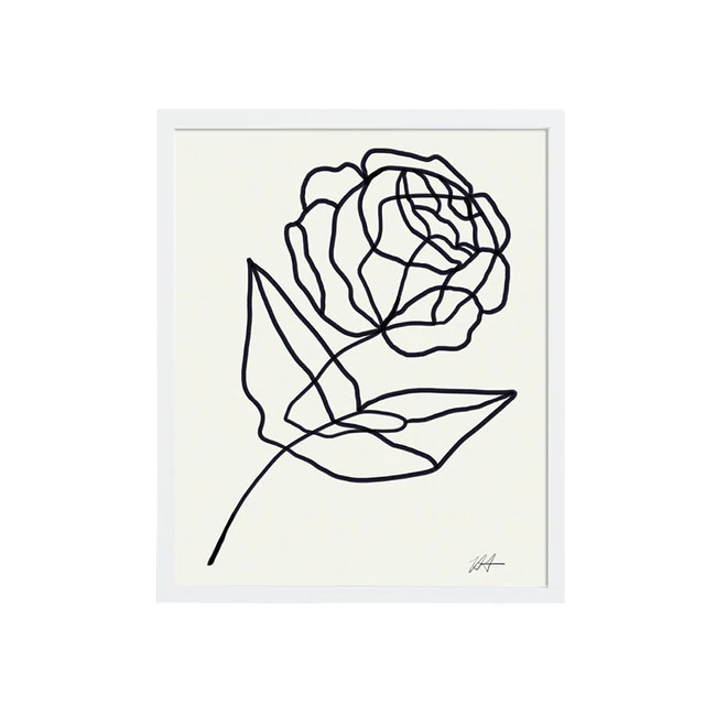 Rose 01 